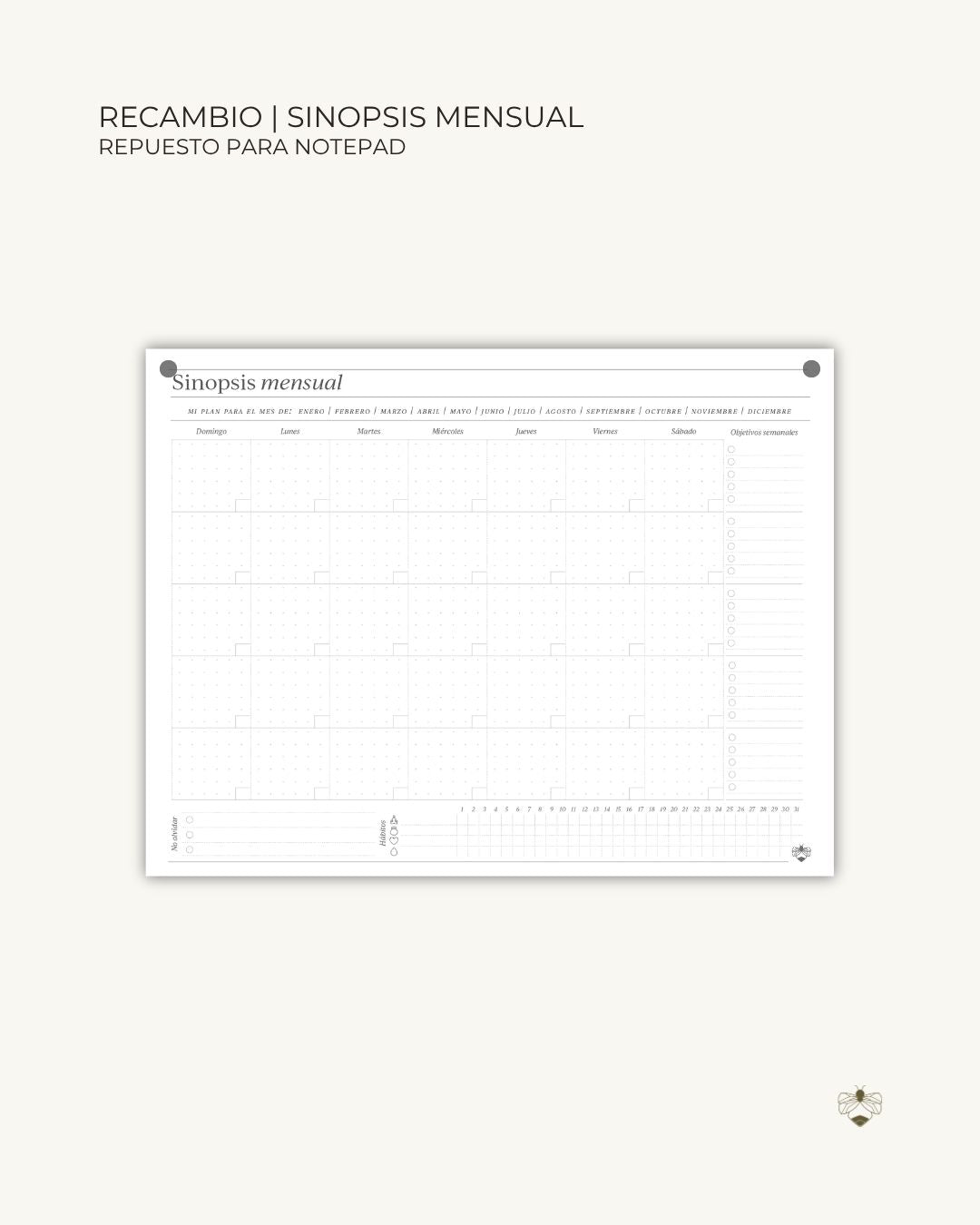 Recambio para Notepad | Sinopsis